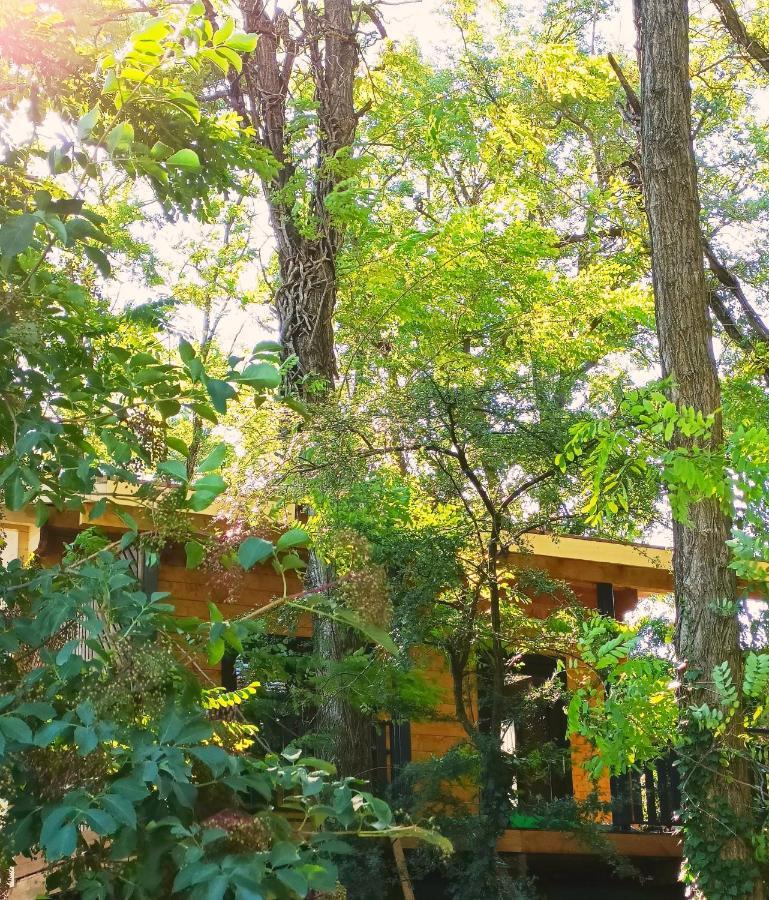 Des Branches & Vous Bed & Breakfast Chateauneuf-sur-Isere Exterior photo