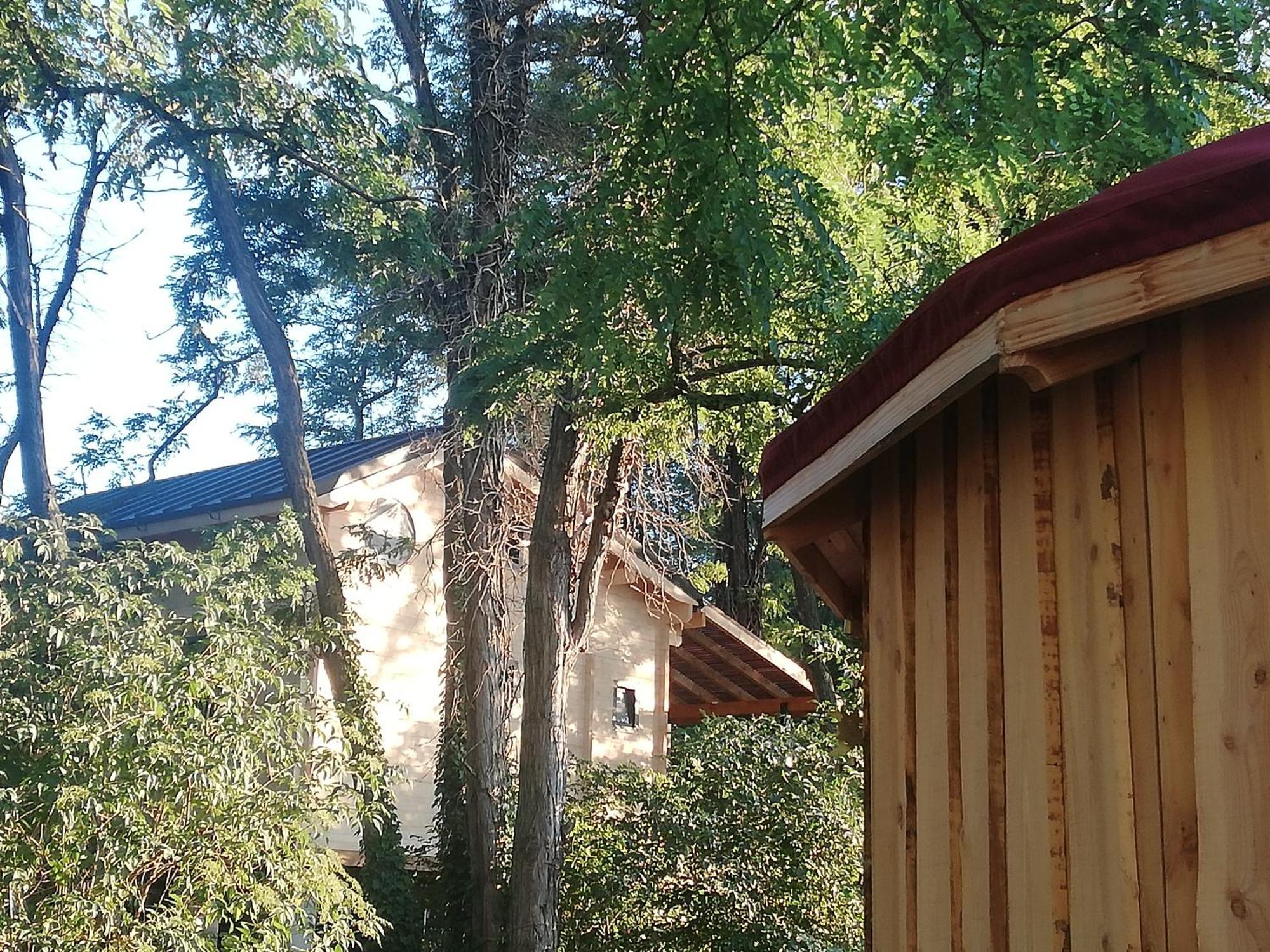 Des Branches & Vous Bed & Breakfast Chateauneuf-sur-Isere Exterior photo