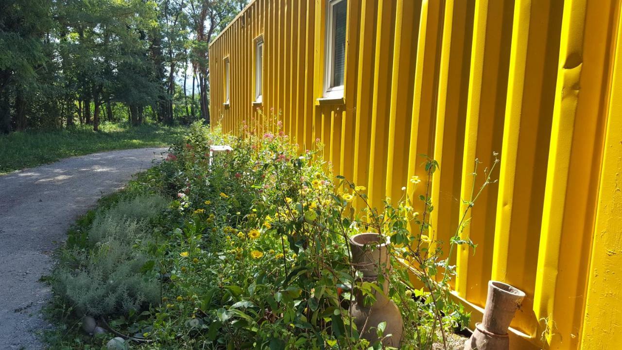 Des Branches & Vous Bed & Breakfast Chateauneuf-sur-Isere Exterior photo